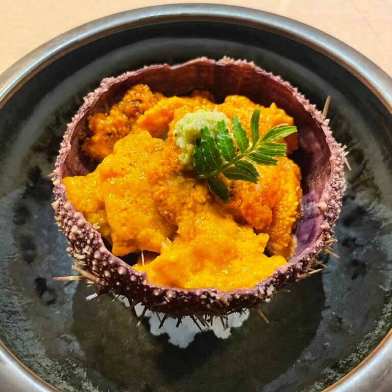 Urchin, London