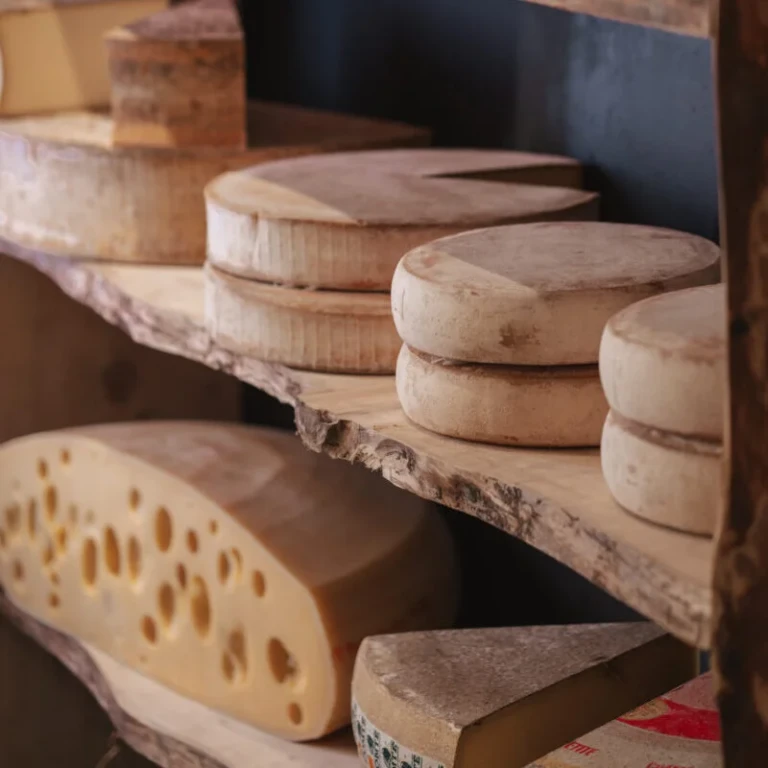 2024-Johanna-Chaboud-DSC01888-e1760686421652