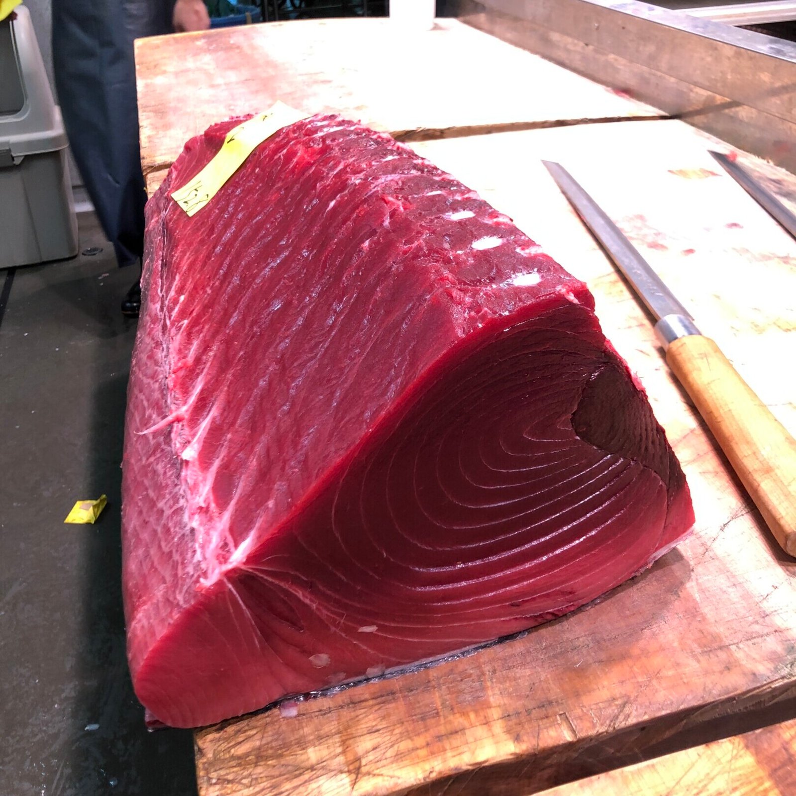 IMG 6946 scaled e1762784168795