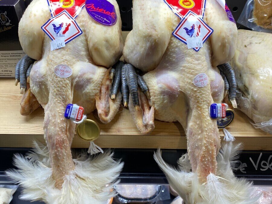 IMG 9764 e1766566470179 edited