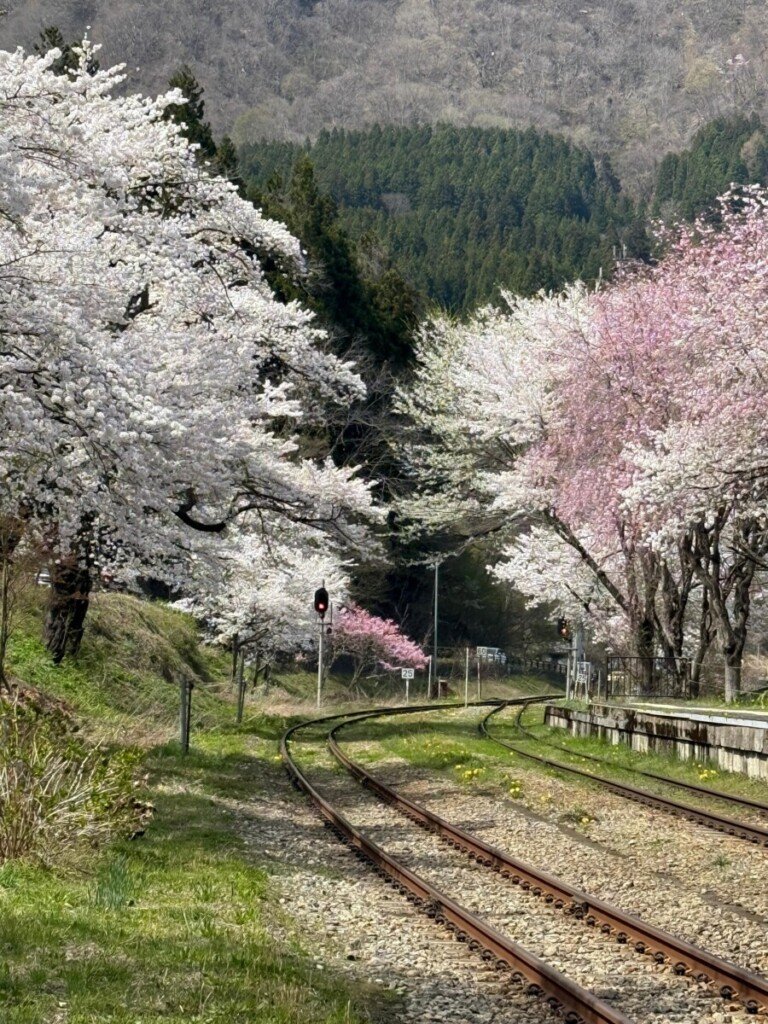 WhatsApp Image 2026 02 06 at 11.40.46