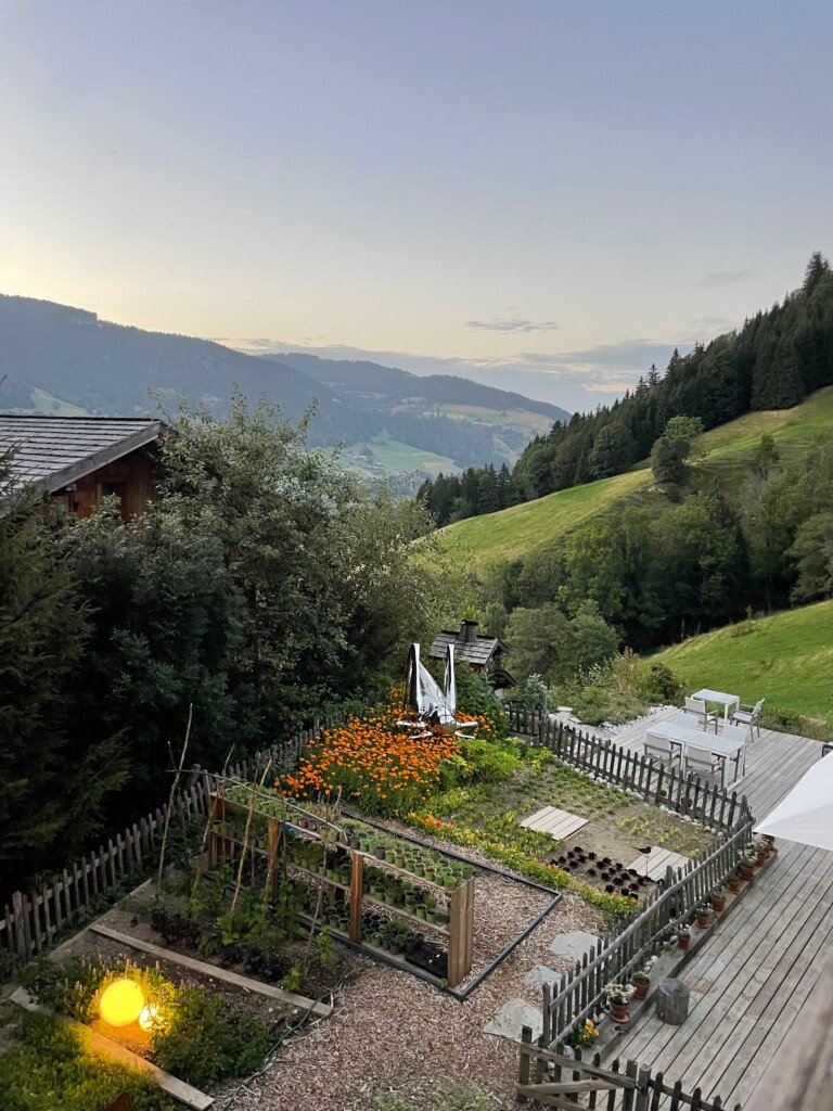 Spring is Here: Michelin Star Asparagus Tart 5 IMG 2994