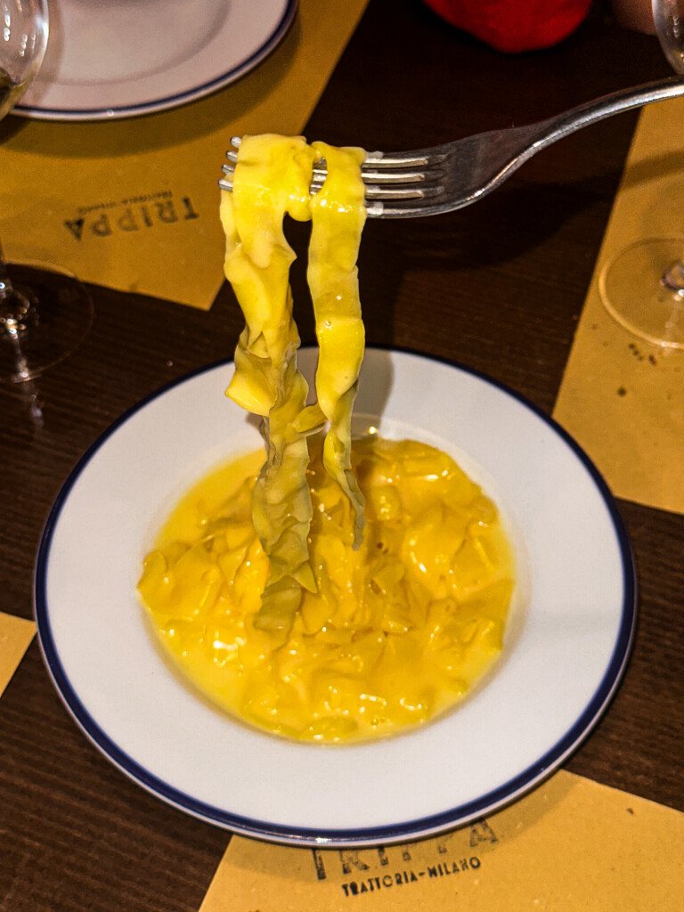 IMG 9768