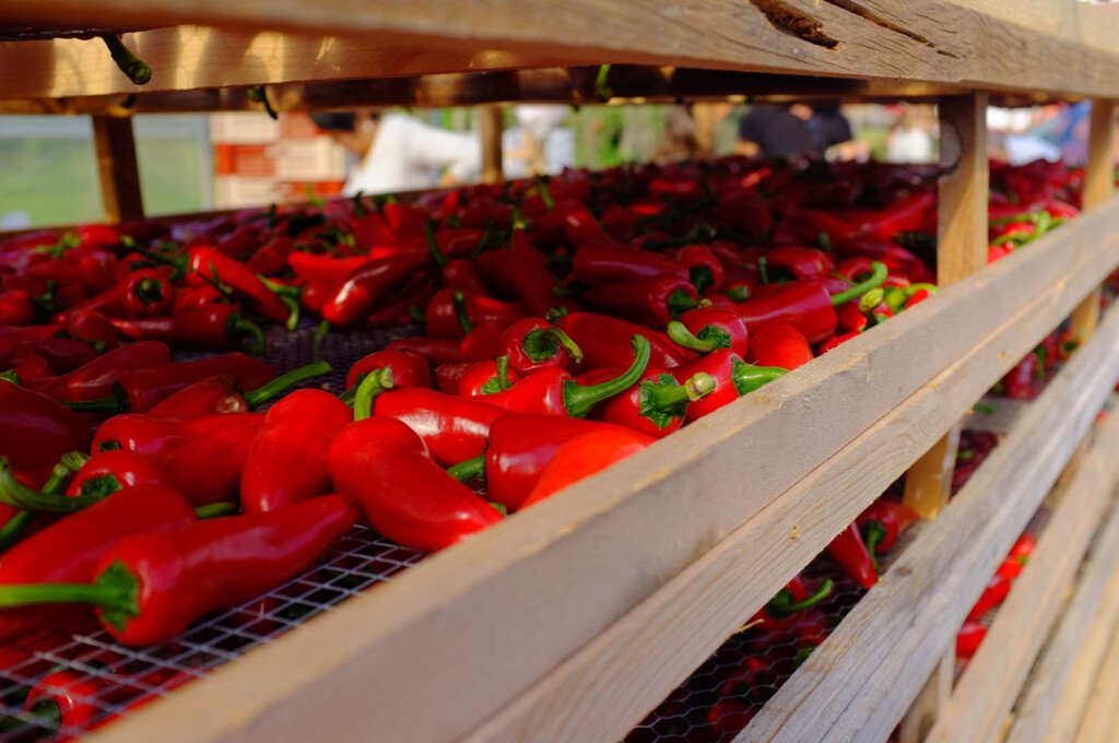 13 piments dEspelette sechage