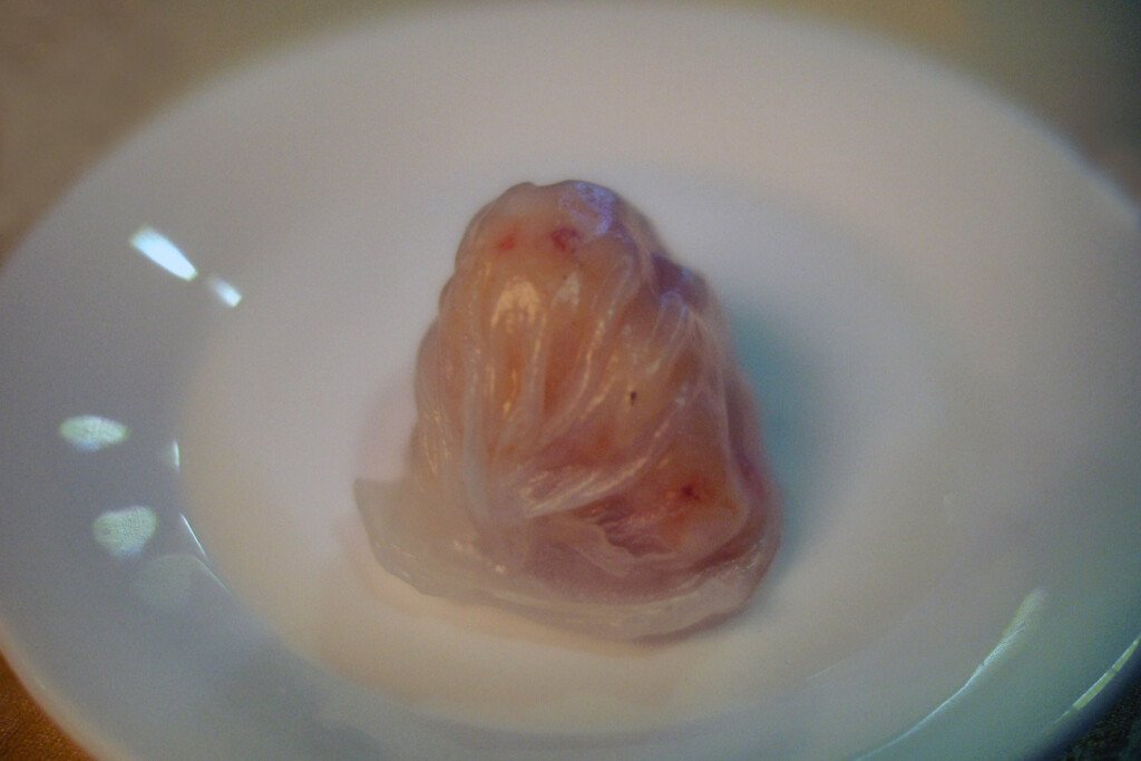 Dim sum, the Food of Cantonese Tea Culture 5 3 hargau