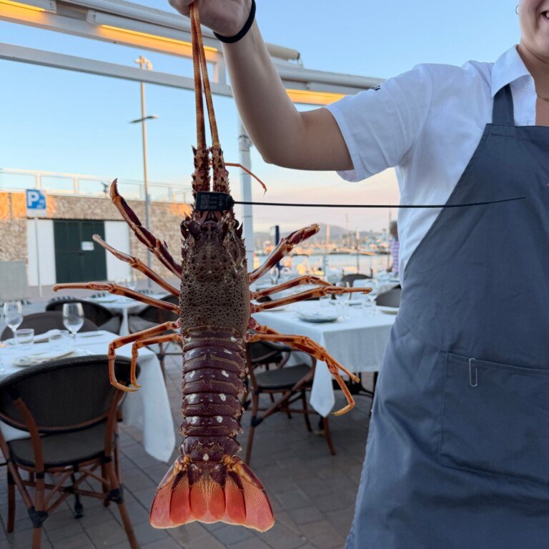 Sa Llagosta Restaurant