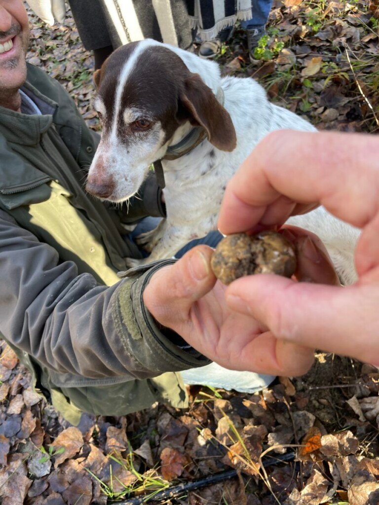 In Search of Alba's White Truffle 6 IMG 0235
