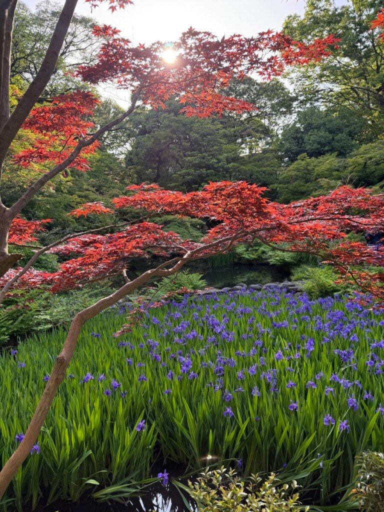 Inside Tokyo’s Private Worlds of Art, Architecture and Gardens 40 IMG 0836