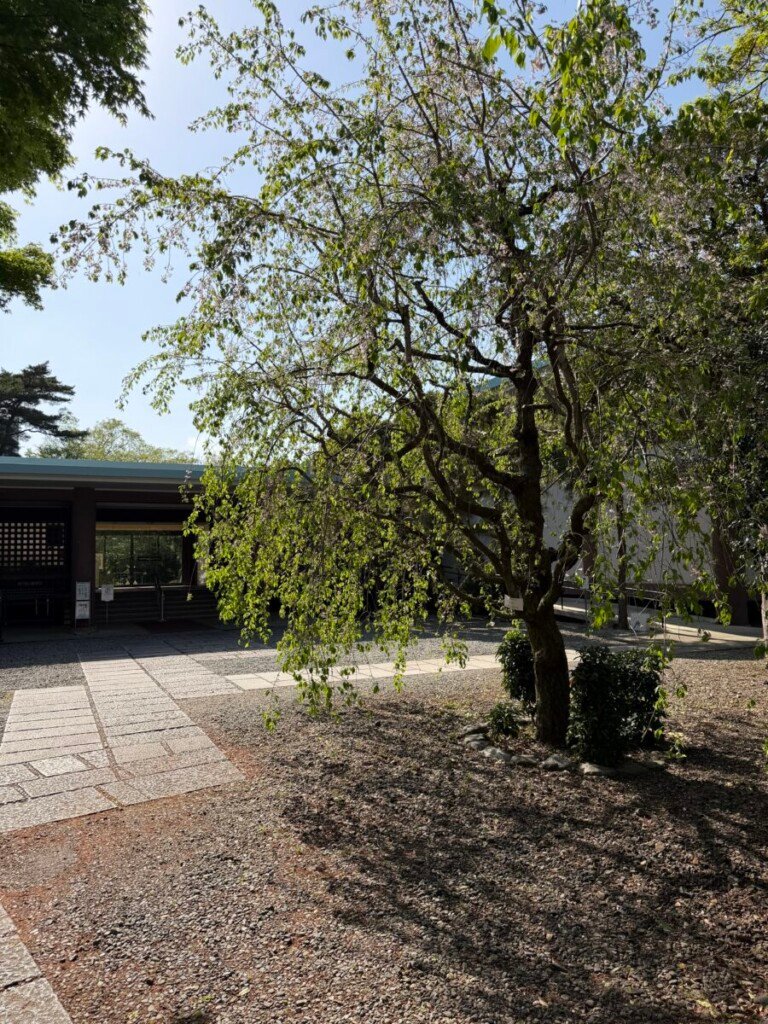 Inside Tokyo’s Private Worlds of Art, Architecture and Gardens 19 IMG 2001