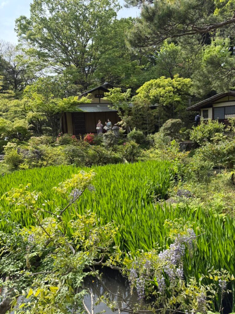 Inside Tokyo’s Private Worlds of Art, Architecture and Gardens 38 IMG 3152