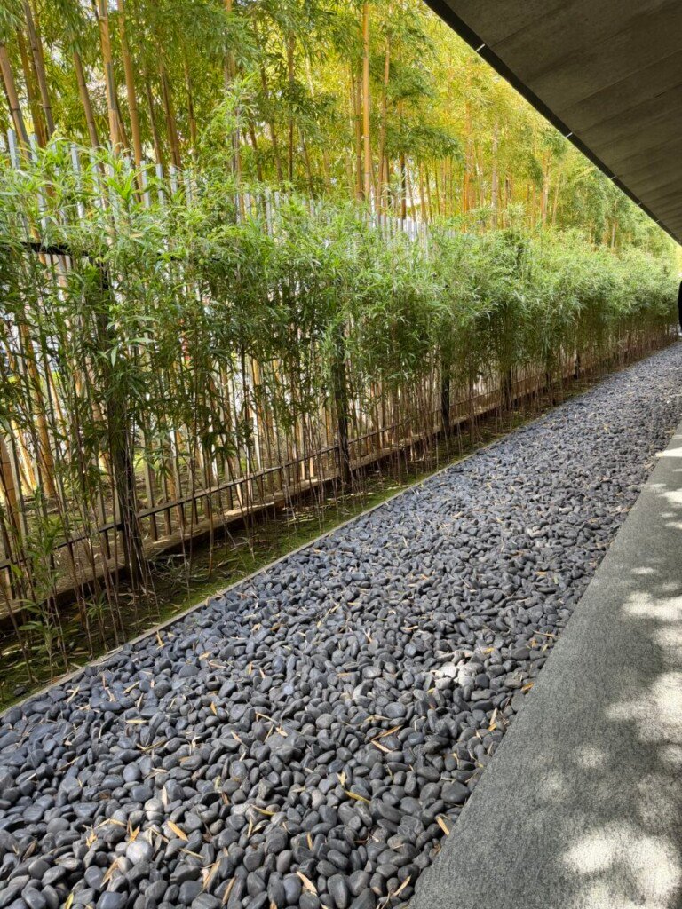 Inside Tokyo’s Private Worlds of Art, Architecture and Gardens 37 IMG 3165 1