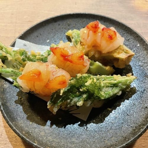 Urchin, London